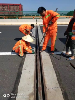 西安高新区：看护桥梁安全 畅行春日之路